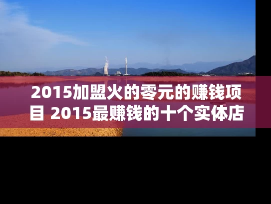 2015加盟火的零元的赚钱项目 2015最赚钱的十个实体店项目