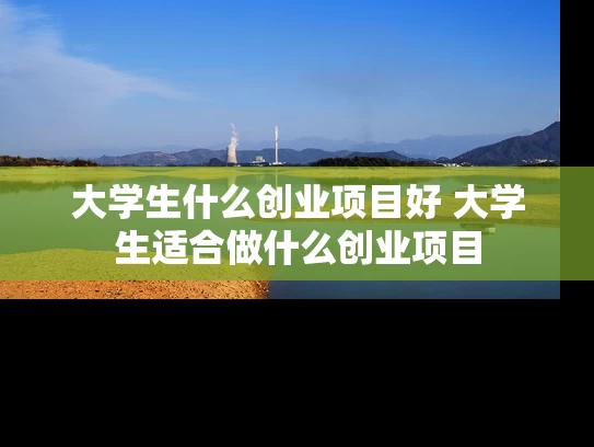 大学生什么创业项目好 大学生适合做什么创业项目