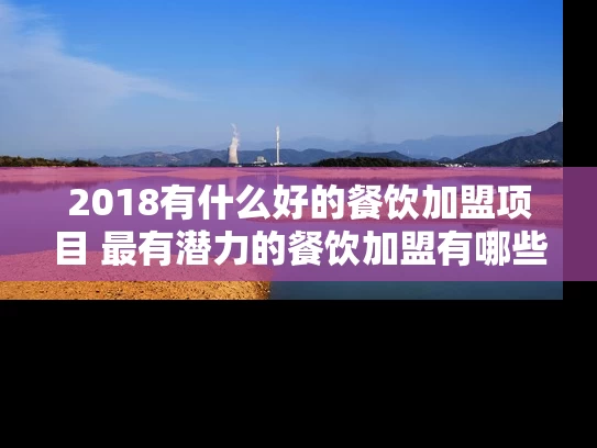 2018有什么好的餐饮加盟项目 最有潜力的餐饮加盟有哪些