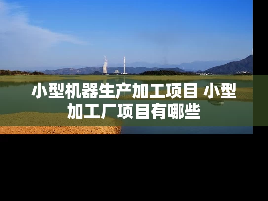 小型机器生产加工项目 小型加工厂项目有哪些