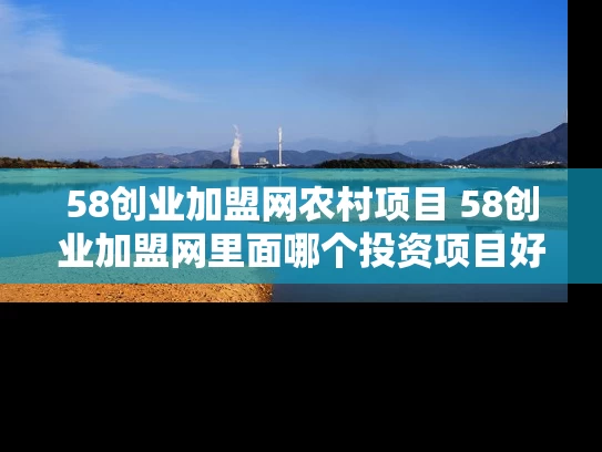 58创业加盟网农村项目 58创业加盟网里面哪个投资项目好