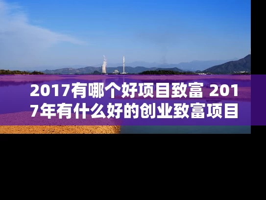 2017有哪个好项目致富 2017年有什么好的创业致富项目