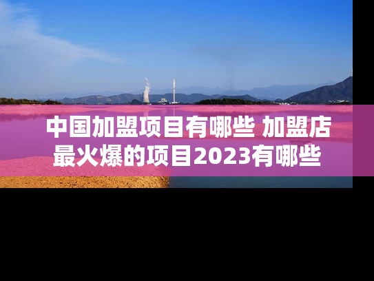中国加盟项目有哪些 加盟店最火爆的项目2023有哪些