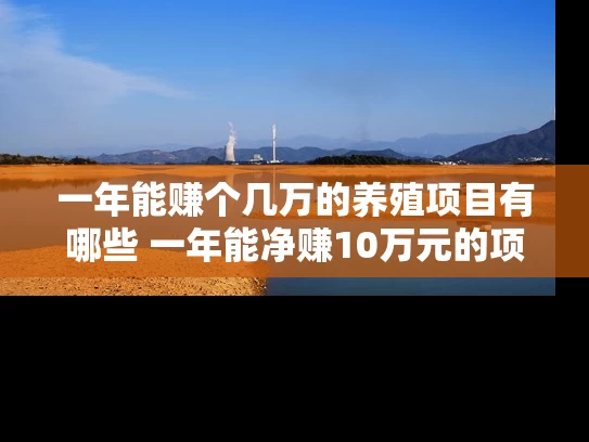 一年能赚个几万的养殖项目有哪些 一年能净赚10万元的项目有哪些呢