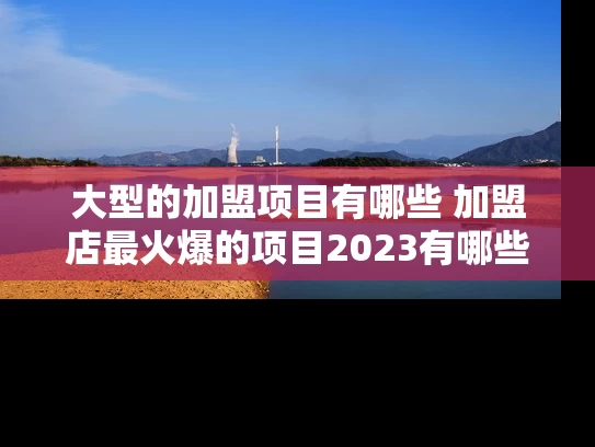 大型的加盟项目有哪些 加盟店最火爆的项目2023有哪些