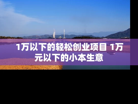 1万以下的轻松创业项目 1万元以下的小本生意