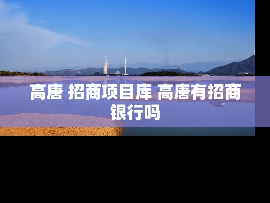 高唐 招商项目库 高唐有招商银行吗