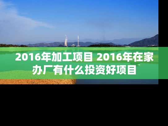 2016年加工项目 2016年在家办厂有什么投资好项目
