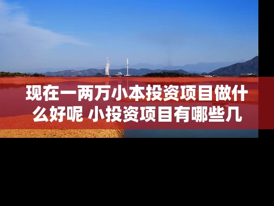 现在一两万小本投资项目做什么好呢 小投资项目有哪些几万块小本生意做什么好