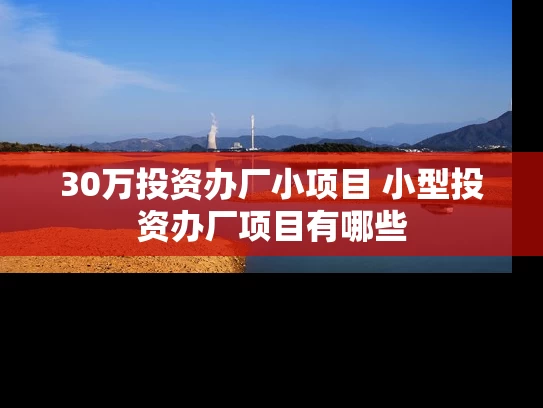 30万投资办厂小项目 小型投资办厂项目有哪些