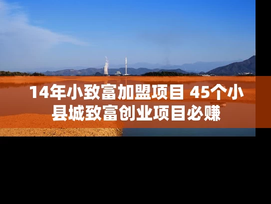 14年小致富加盟项目 45个小县城致富创业项目必赚