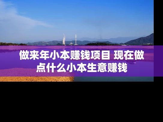 做来年小本赚钱项目 现在做点什么小本生意赚钱