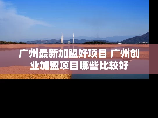 广州最新加盟好项目 广州创业加盟项目哪些比较好