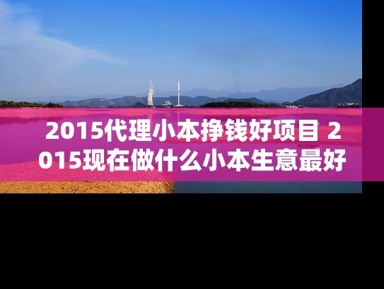 2015代理小本挣钱好项目 2015现在做什么小本生意最好赚钱
