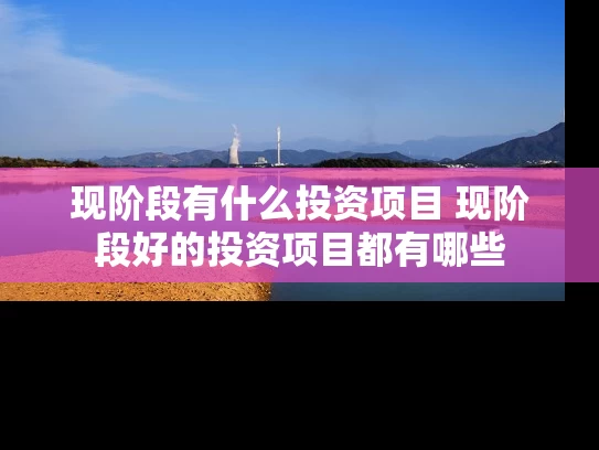 现阶段有什么投资项目 现阶段好的投资项目都有哪些