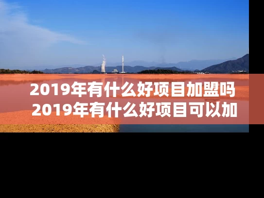 2019年有什么好项目加盟吗 2019年有什么好项目可以加盟