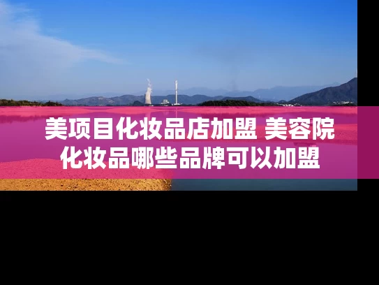 美项目化妆品店加盟 美容院化妆品哪些品牌可以加盟