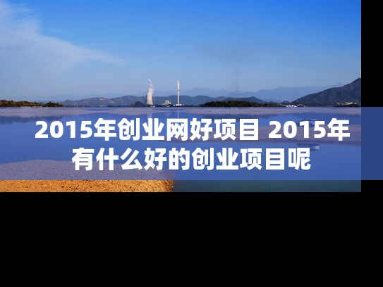 2015年创业网好项目 2015年有什么好的创业项目呢