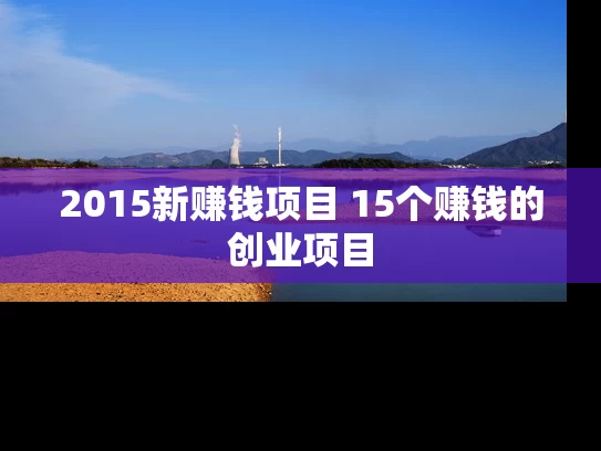 2015新赚钱项目 15个赚钱的创业项目