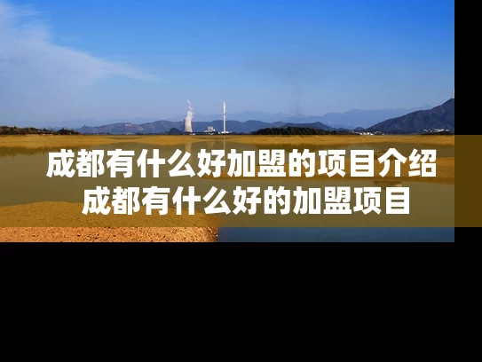 成都有什么好加盟的项目介绍 成都有什么好的加盟项目