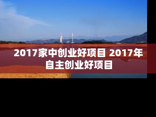 2017家中创业好项目 2017年自主创业好项目