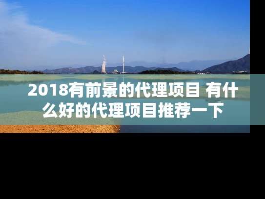 2018有前景的代理项目 有什么好的代理项目推荐一下