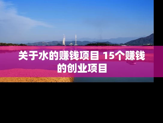关于水的赚钱项目 15个赚钱的创业项目