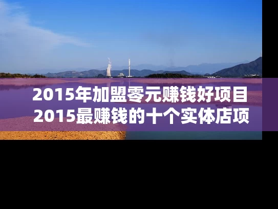 2015年加盟零元赚钱好项目 2015最赚钱的十个实体店项目