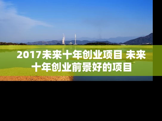 2017未来十年创业项目 未来十年创业前景好的项目
