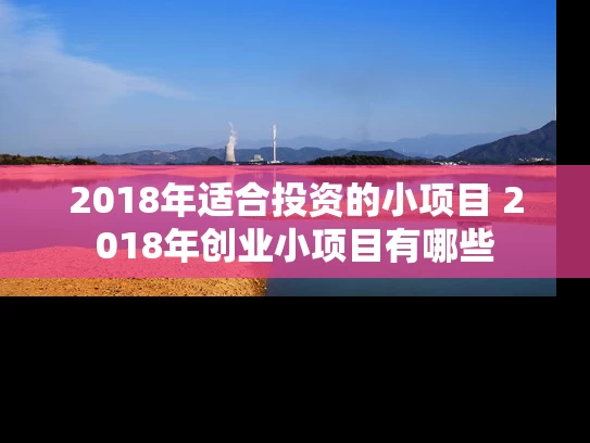 2018年适合投资的小项目 2018年创业小项目有哪些