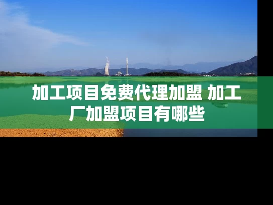 加工项目免费代理加盟 加工厂加盟项目有哪些