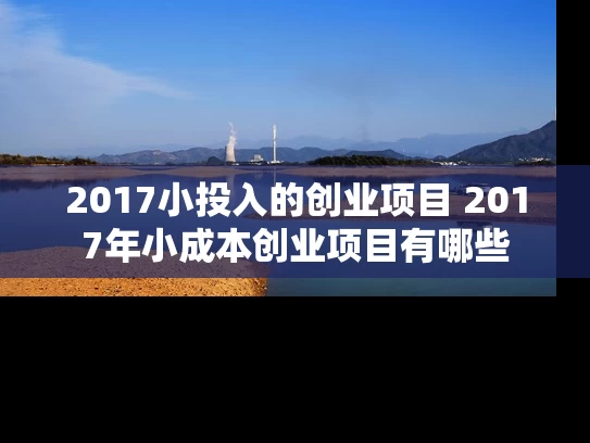 2017小投入的创业项目 2017年小成本创业项目有哪些