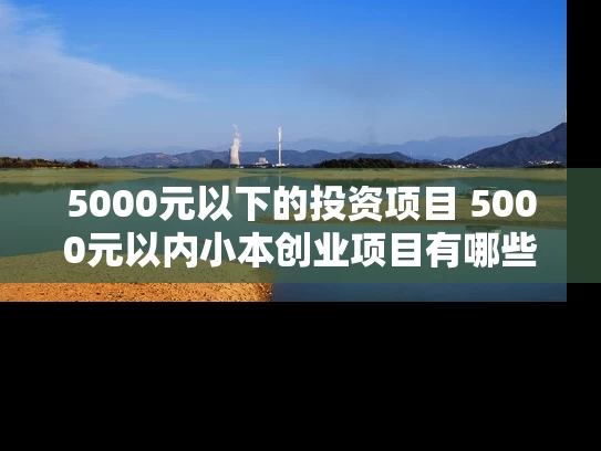 5000元以下的投资项目 5000元以内小本创业项目有哪些
