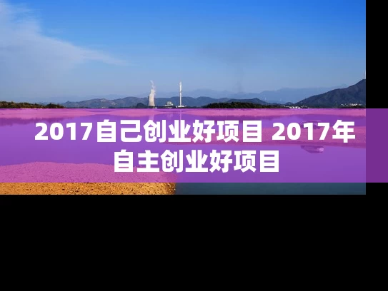 2017自己创业好项目 2017年自主创业好项目