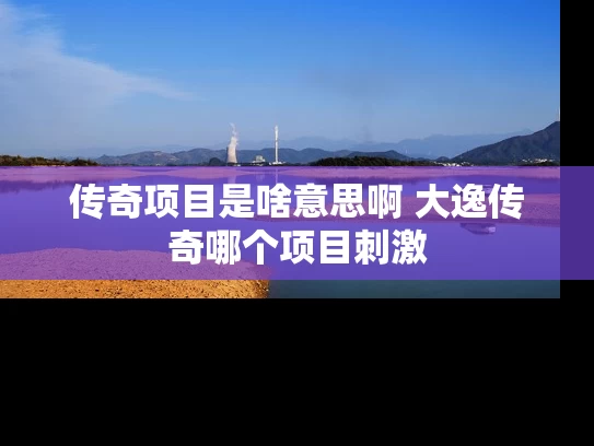 传奇项目是啥意思啊 大逸传奇哪个项目刺激