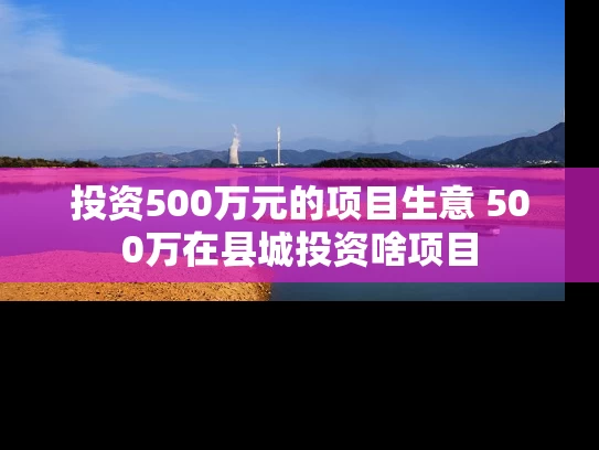 投资500万元的项目生意 500万在县城投资啥项目