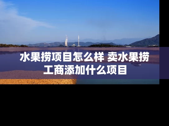 水果捞项目怎么样 卖水果捞工商添加什么项目