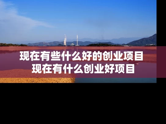 现在有些什么好的创业项目 现在有什么创业好项目