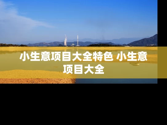 小生意项目大全特色 小生意项目大全