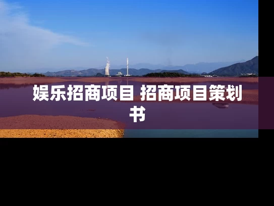 娱乐招商项目 招商项目策划书