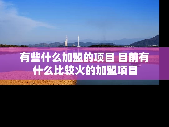 有些什么加盟的项目 目前有什么比较火的加盟项目