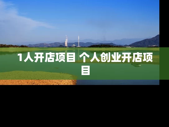 1人开店项目 个人创业开店项目