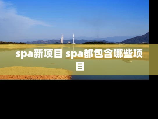 spa新项目 spa都包含哪些项目