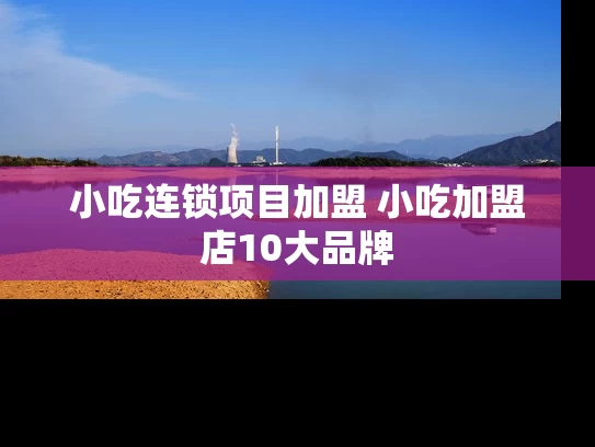 小吃连锁项目加盟 小吃加盟店10大品牌