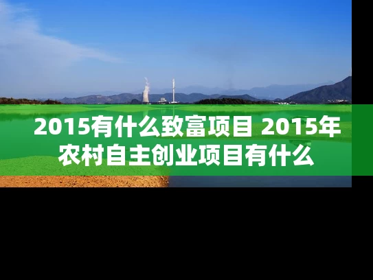2015有什么致富项目 2015年农村自主创业项目有什么