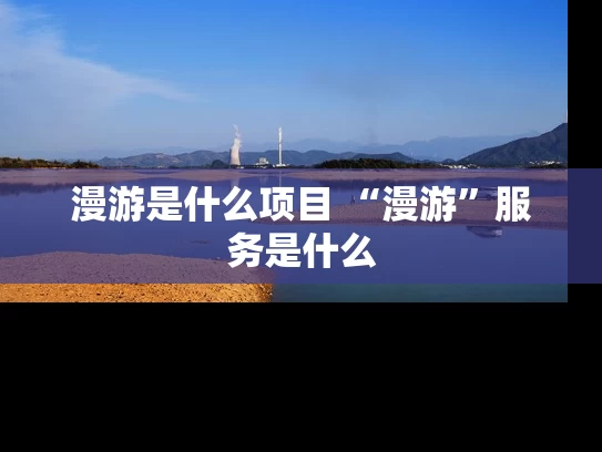 漫游是什么项目 “漫游”服务是什么