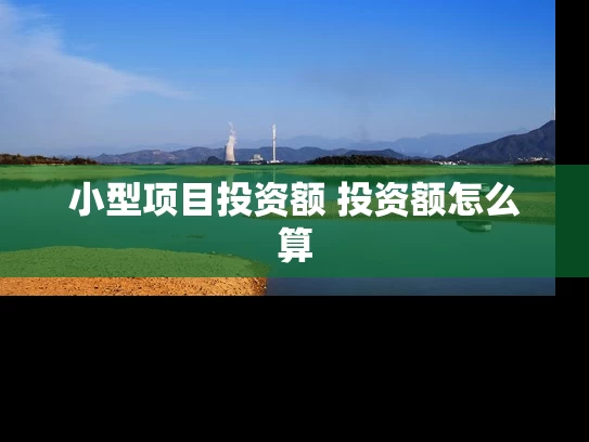 小型项目投资额 投资额怎么算