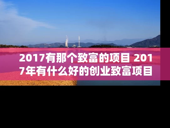 2017有那个致富的项目 2017年有什么好的创业致富项目