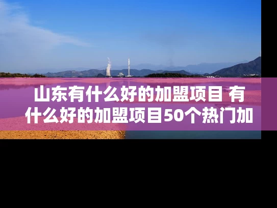 山东有什么好的加盟项目 有什么好的加盟项目50个热门加盟项目最给力!