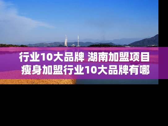 行业10大品牌 湖南加盟项目 瘦身加盟行业10大品牌有哪些